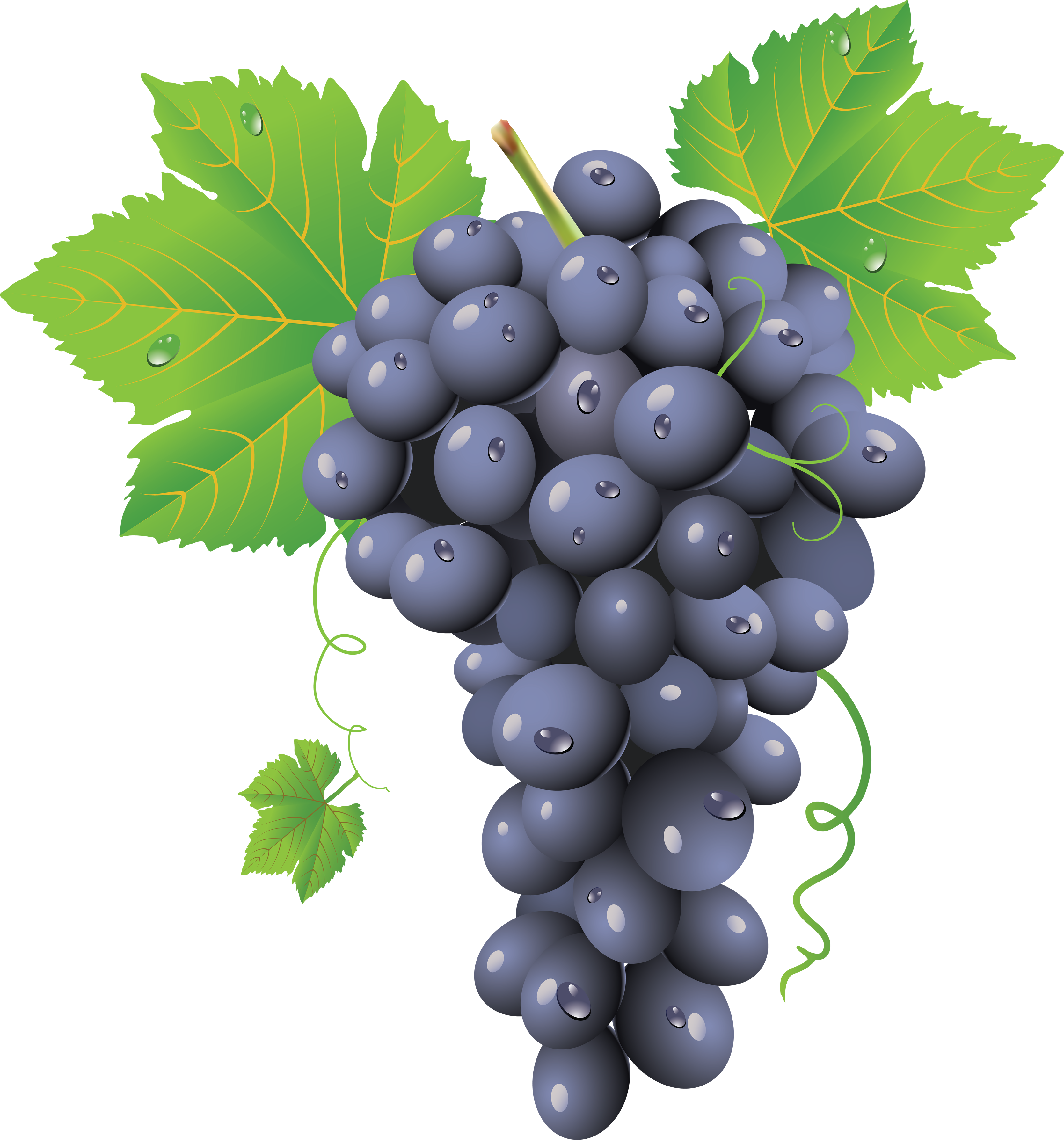 Grape PNG HQ pngteam.com