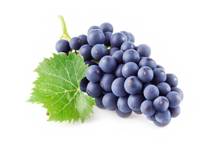 Grape PNG HD and HQ Image pngteam.com