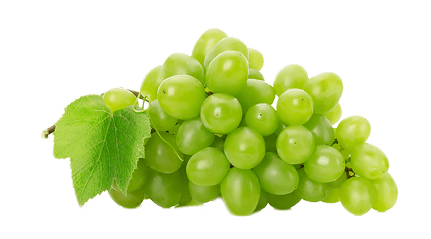 Grape PNG Best Image pngteam.com