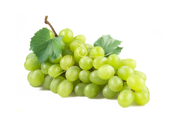 Grape PNG High Definition Photo Image pngteam.com