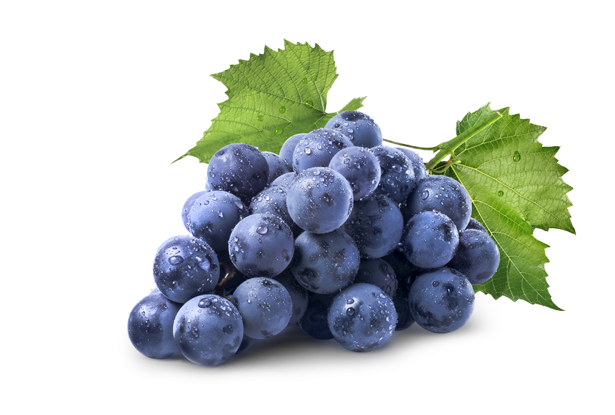 Purple Grapes PNG Photo pngteam.com