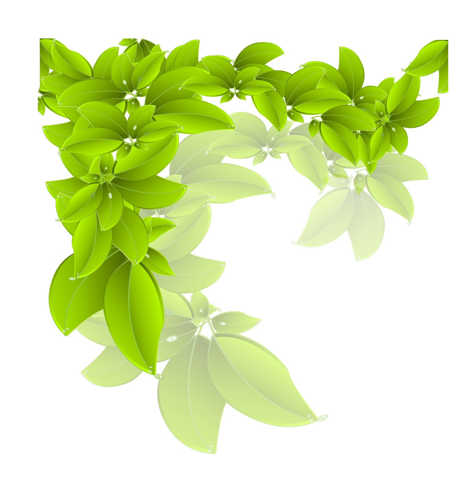 Green Leaves PNG Transparent