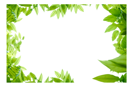 Green Leaves PNG HD - Green Leaves Png