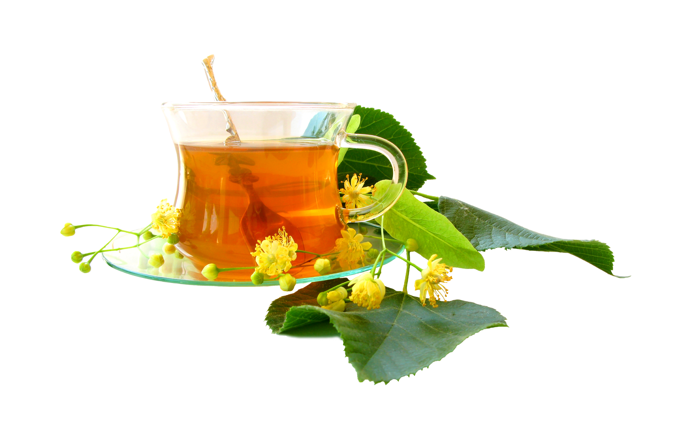 Green Tea PNG HQ Image - Green Tea Png