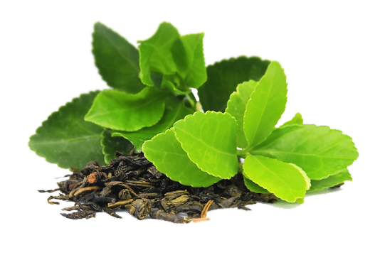 Green Tea Leaves PNG