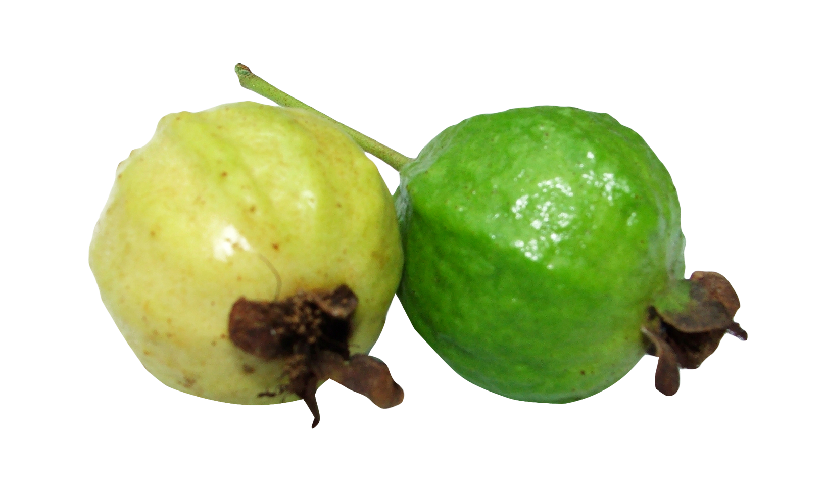Guava PNG Picture Transparent - Guava Png
