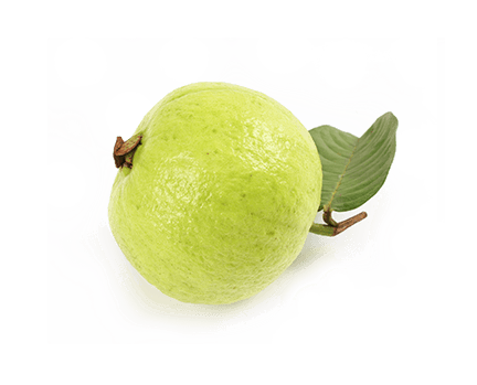Single Guava PNG Photo Transparent - Guava Png