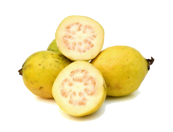 Guava Yellow PNG HD and Transparent pngteam.com