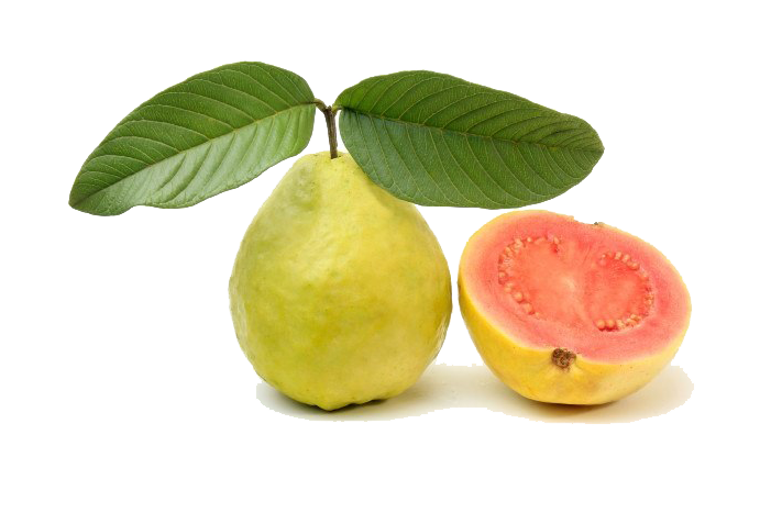 Yellow Guava PNG HD Transparent pngteam.com