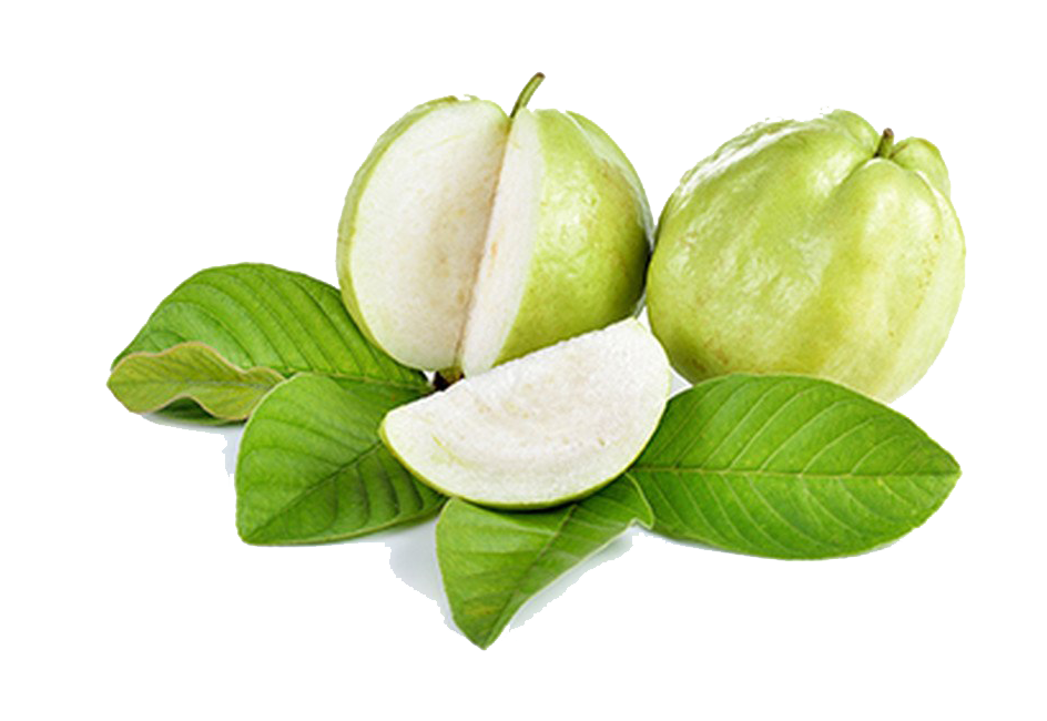 Guava PNG Image in High Definition Transparent
