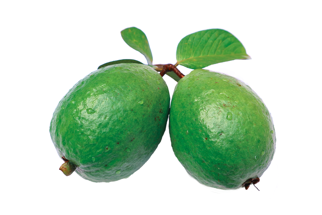 Guava and Leaves PNG HD and Transparent