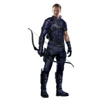 Hawkeye PNG Image in Transparent pngteam.com