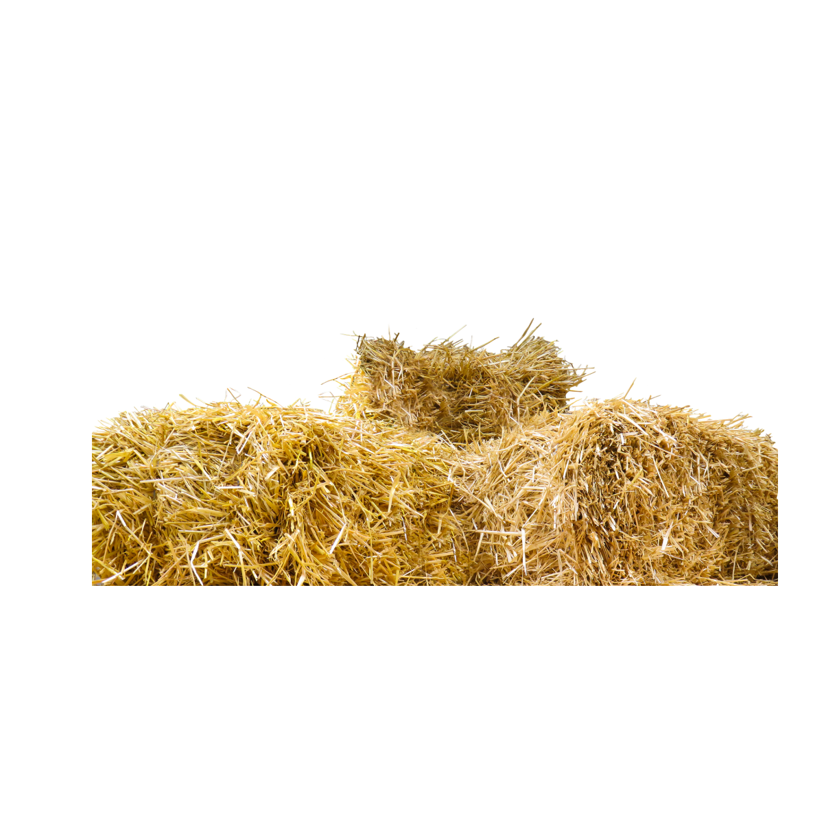 Hay PNG HD and HQ Image - Hay Png