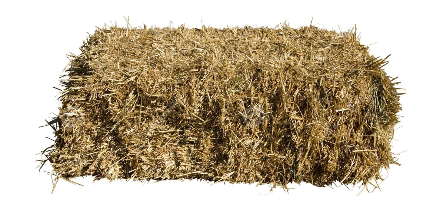 Hay PNG HD and Transparent - Hay Png