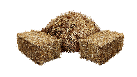 Hay PNG in Transparent - Hay Png