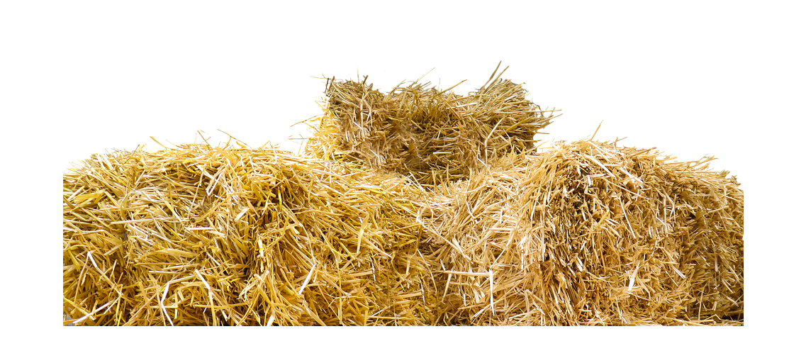 Hay PNG Image in High Definition - Hay Png