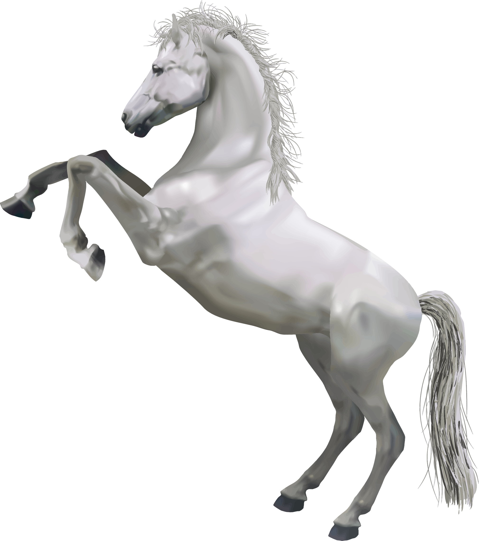 Horse PNG Best Image