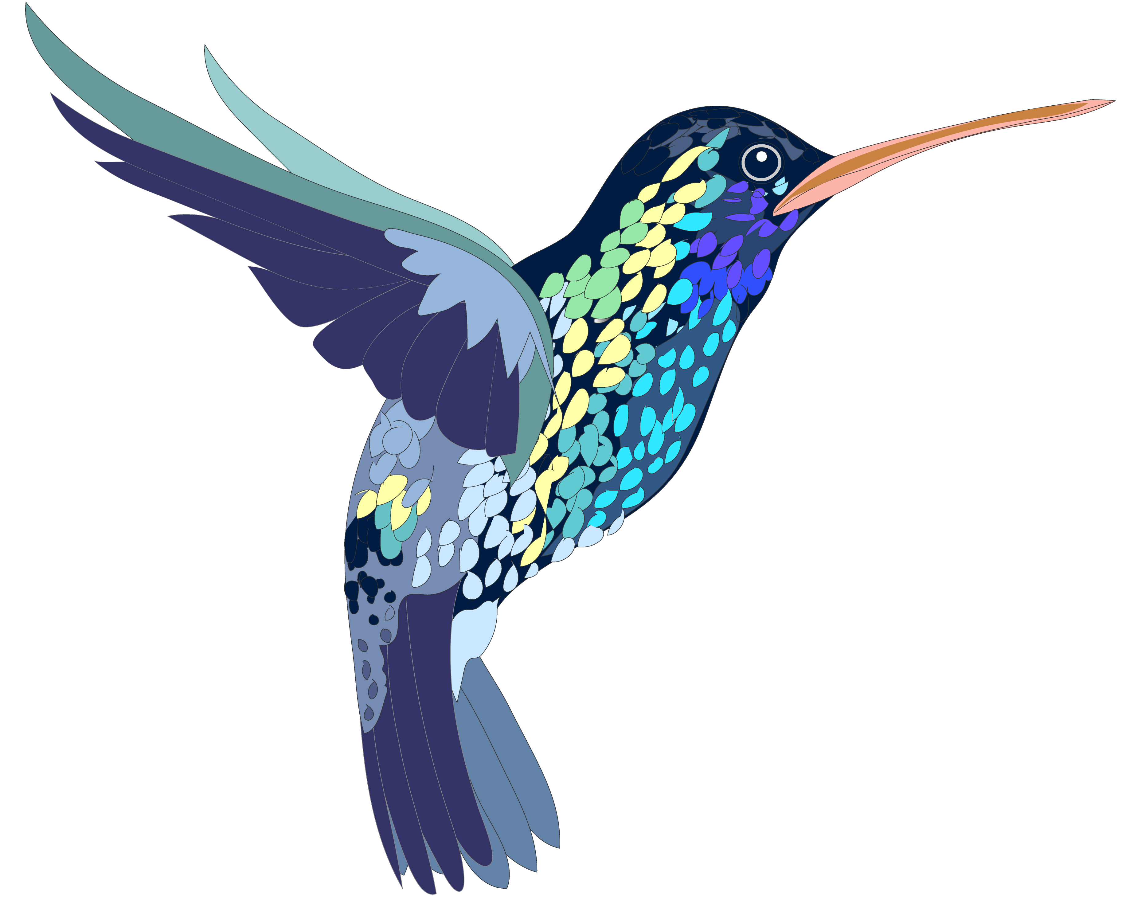 Hummingbird Clip Art PNG - Hummingbird Png