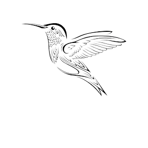 Hummingbird Tattoos PNG Transparent Background Images | pngteam.com