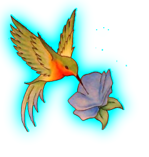 Hummingbird Tattoos PNG HD pngteam.com