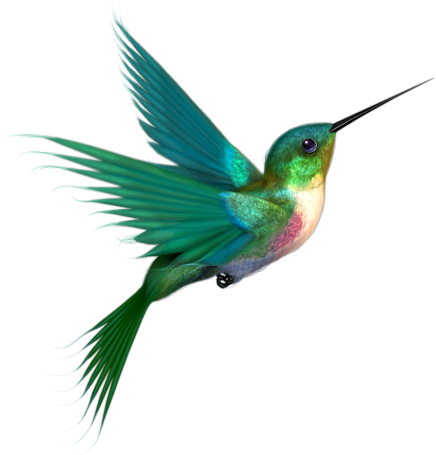 Hummingbird Tattoos PNG HQ pngteam.com