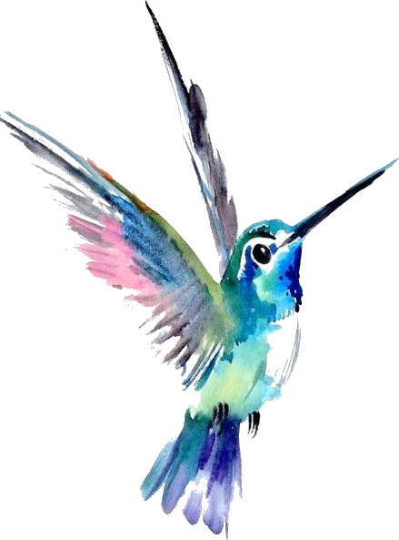 Hummingbird Tattoos PNG HD Image pngteam.com