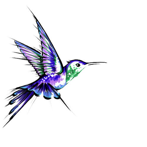 Hummingbird Tattoos PNG HQ Image pngteam.com