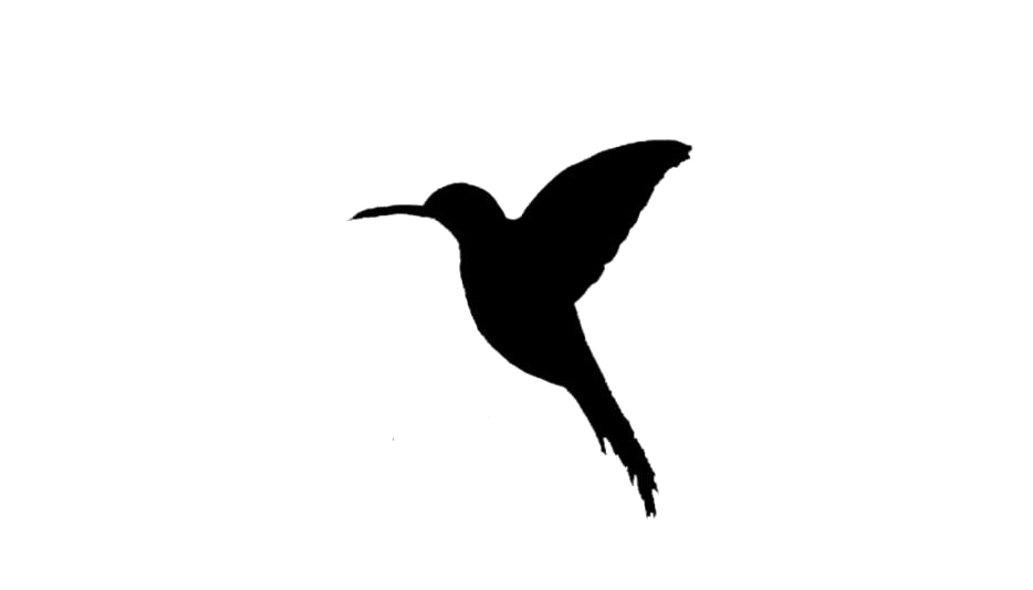Hummingbird Tattoos PNG HD File pngteam.com
