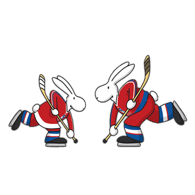 Ice Hockey PNG Image in High Definition - Ice Hockey Png