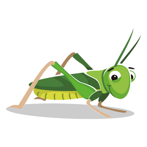 Insect PNG HD pngteam.com