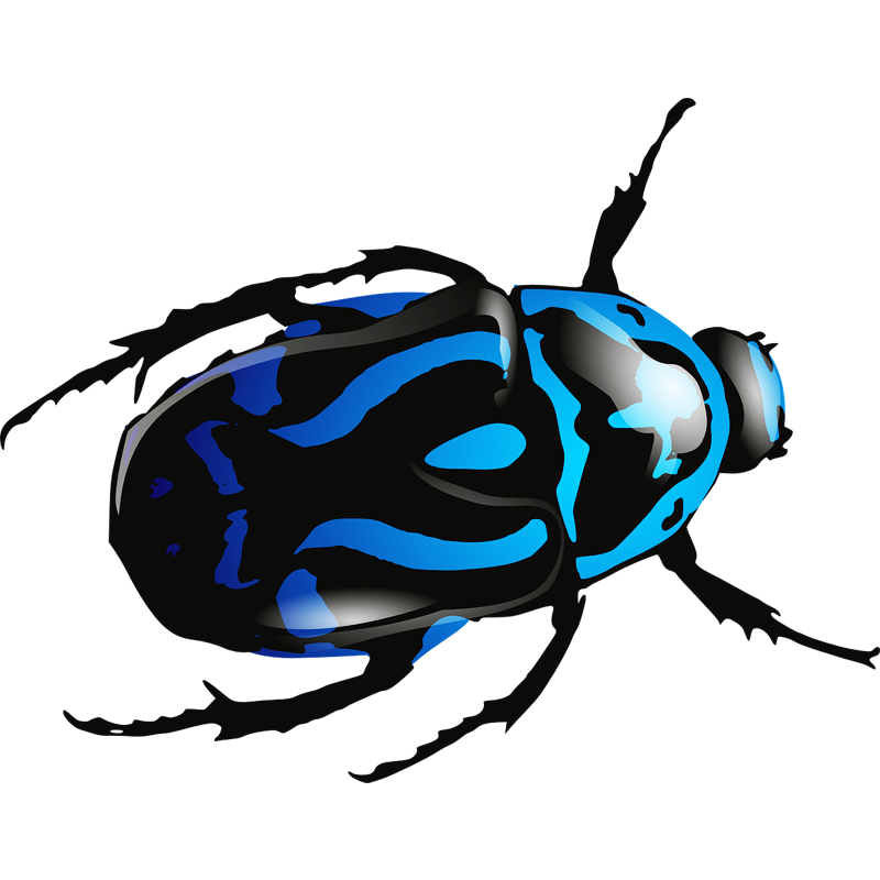 Insect PNG HQ pngteam.com