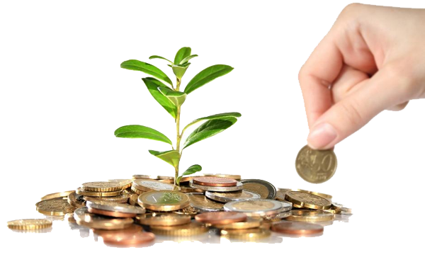 Investing PNG HQ pngteam.com