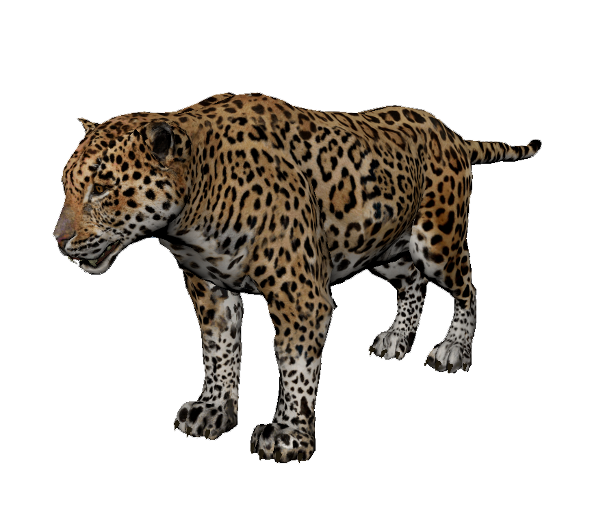 Jaguar PNG Images