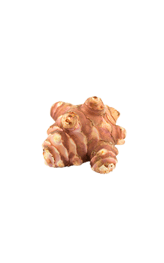 Jerusalem Artichokes PNG HD File Transparent pngteam.com