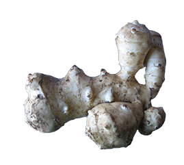 Jerusalem Artichokes PNG HD File Transparent - Jerusalem Artichokes Png