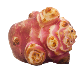 Red Jerusalem Artichokes PNG Transparent - Jerusalem Artichokes Png