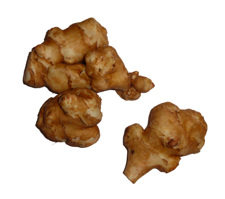 Jerusalem Artichokes PNG HD File Transparent - Jerusalem Artichokes Png