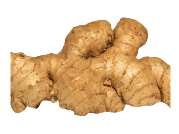 Jerusalem Artichokes PNG Image in High Definition Transparent