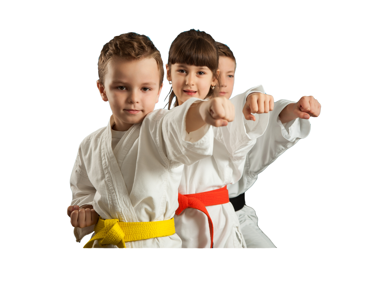 Karate PNG HD File - Karate Png