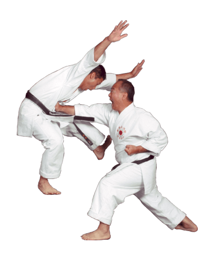 Karate PNG HQ - Karate Png