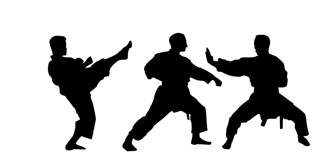 Karate PNG File