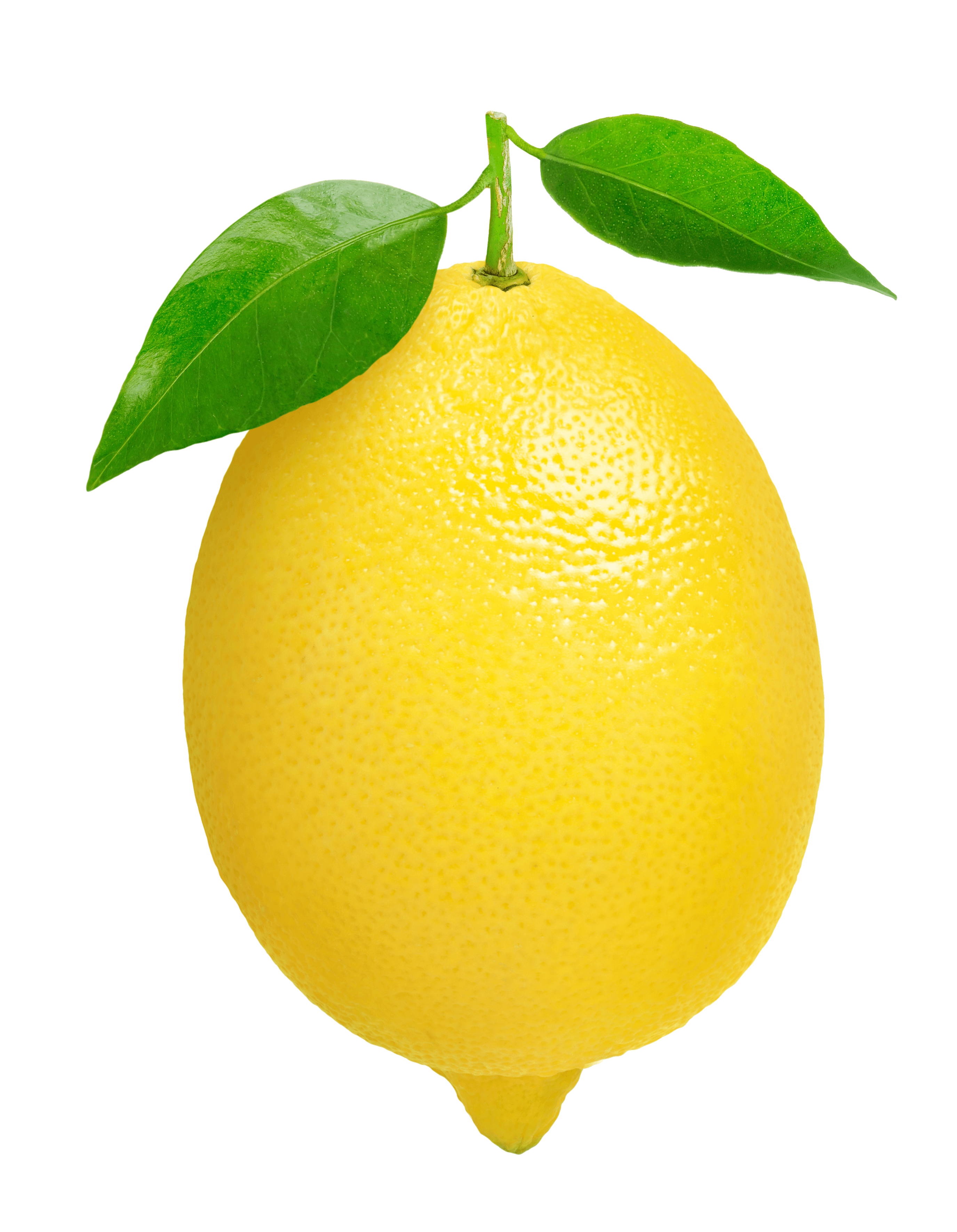 Single Lemon PNG Transparent