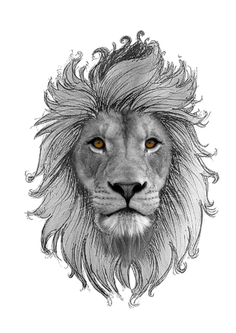 Leo Lion Head PNG Transparent pngteam.com
