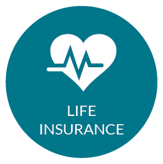 Life Insurance PNG HD and Transparent pngteam.com