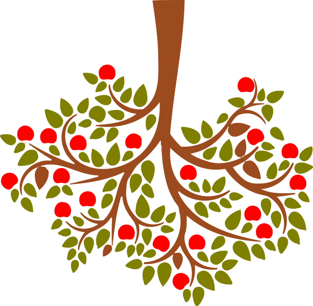 Life PNG HQ pngteam.com