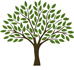 Life PNG Image in High Definition pngteam.com