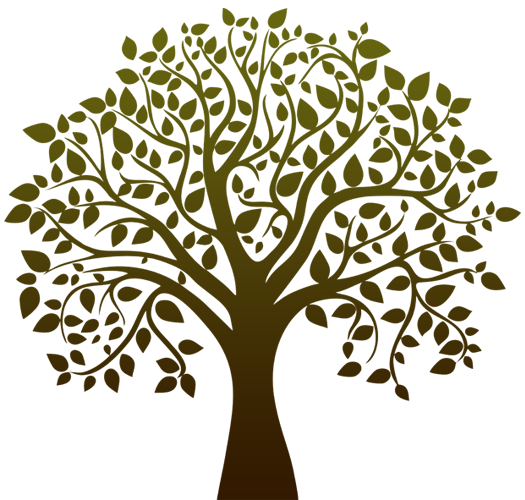 Life PNG HQ Image pngteam.com