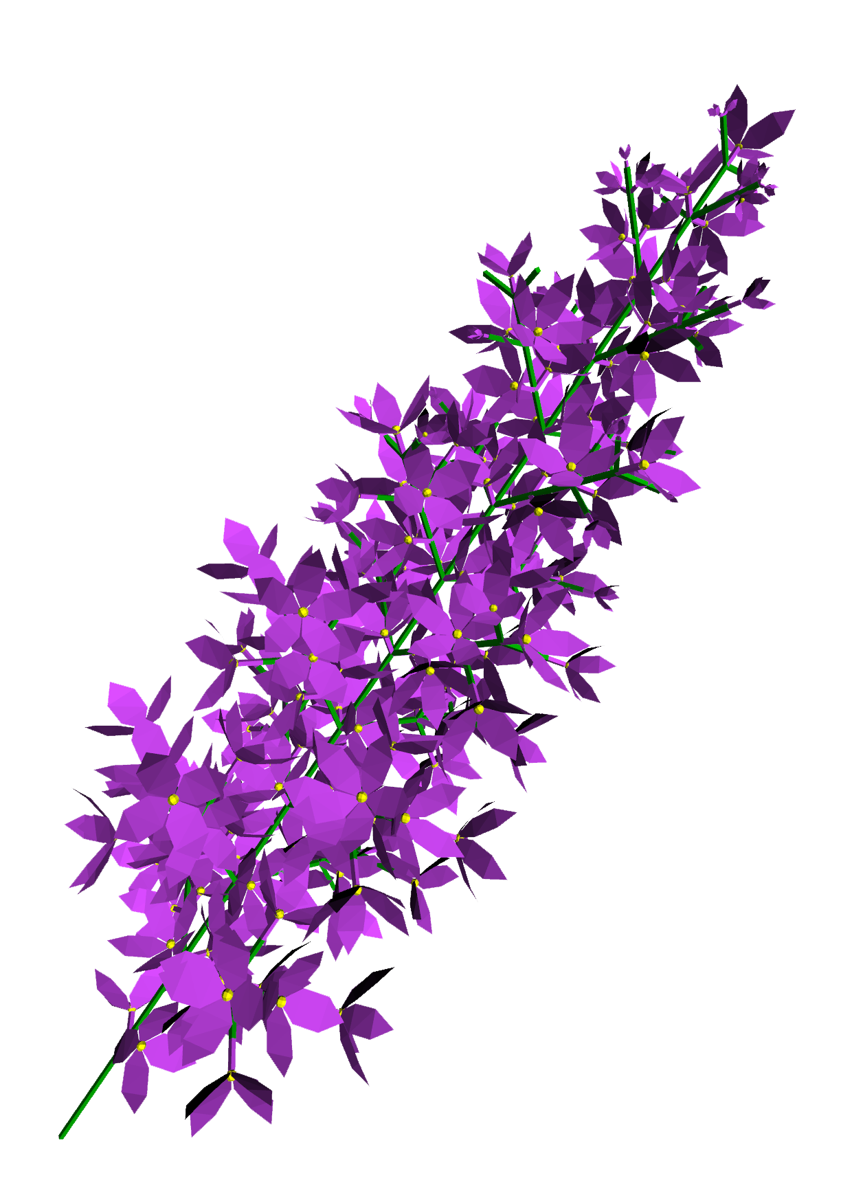 Lilac PNG Image in Transparent pngteam.com