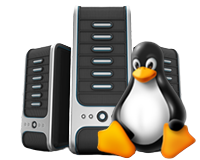 Linux Hosting PNG HD and Transparent pngteam.com