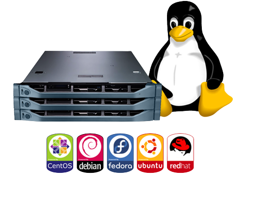 Linux Hosting Centos PNG pngteam.com